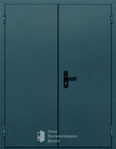 Фото двери «Двупольная глухая №37» в Дубне
