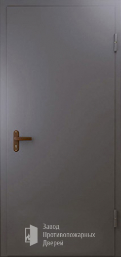 Фото двери «Техническая дверь №1 однопольная» в Дубне