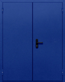 Фото двери «Двупольная глухая №33» в Дубне