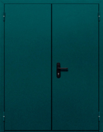 Фото двери «Двупольная глухая №36» в Дубне