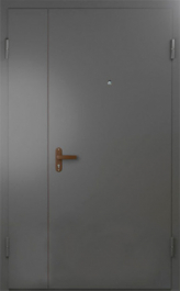 Фото двери «Техническая дверь №6 полуторная» в Дубне